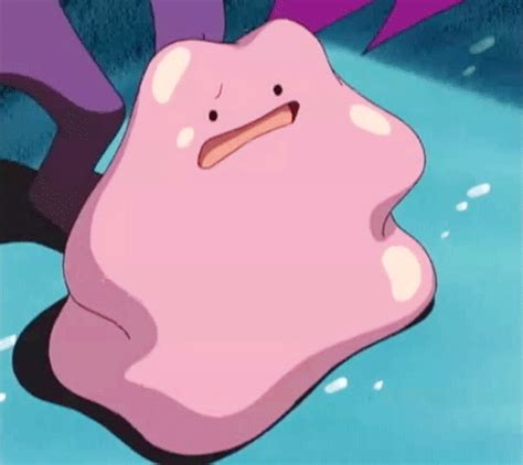 ditto gif|omg yes gif.